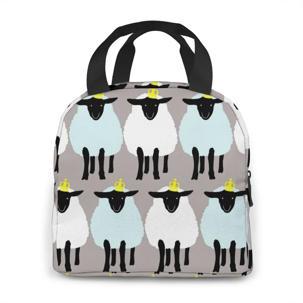 **EODNSOFN Insulated Lunch Bag for Women - Thermal Portable Cold Food Storage Box, Picnic Bento Bag, 13x21x22cm (Color A) - Perfect for Work, School & Outdoor Picnics**