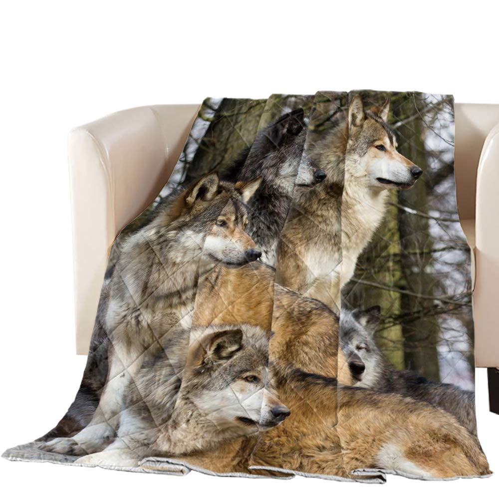 EZON-CH Quilted Bedspread Coverlet - Soft & Comfortable All-Season Bedding with Wolves Animal Design, 98x98 Inches - Perfect for Bedroom, Sofa, and Guest Room Decor