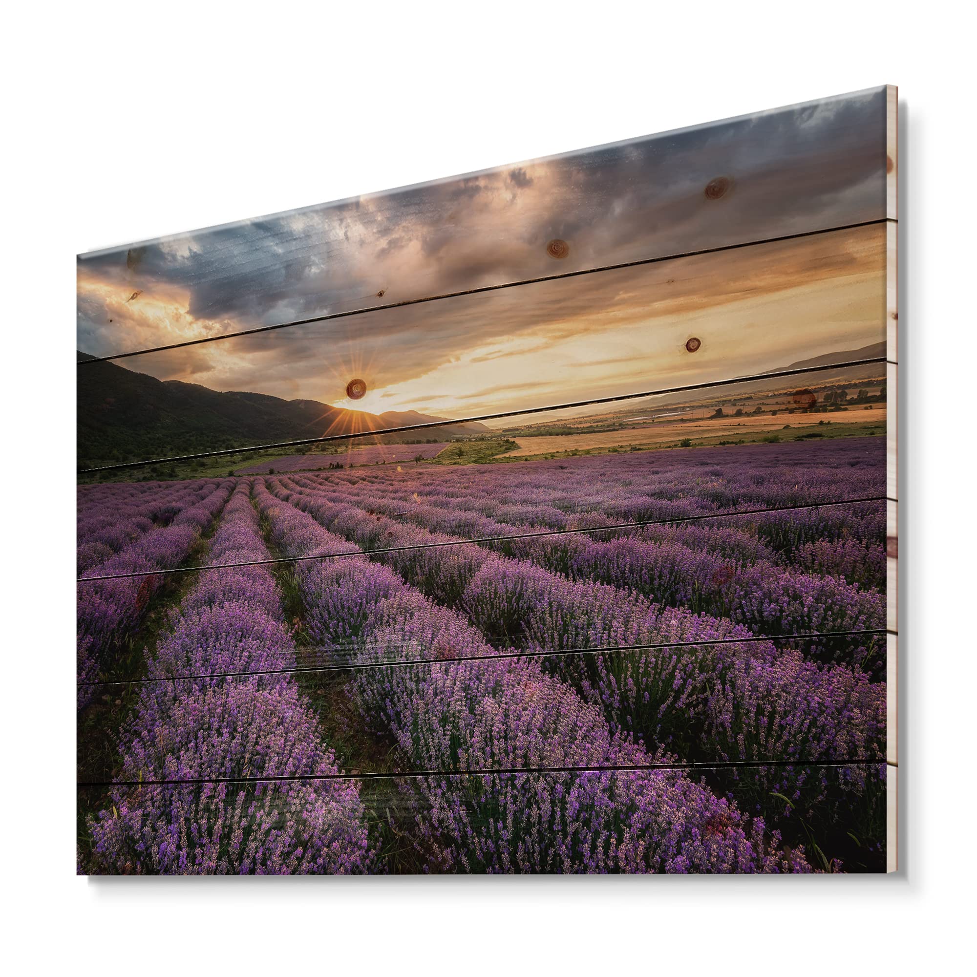 Lavender Field Wood Wall Art - Farmhouse Decor for Living Room & Bedroom