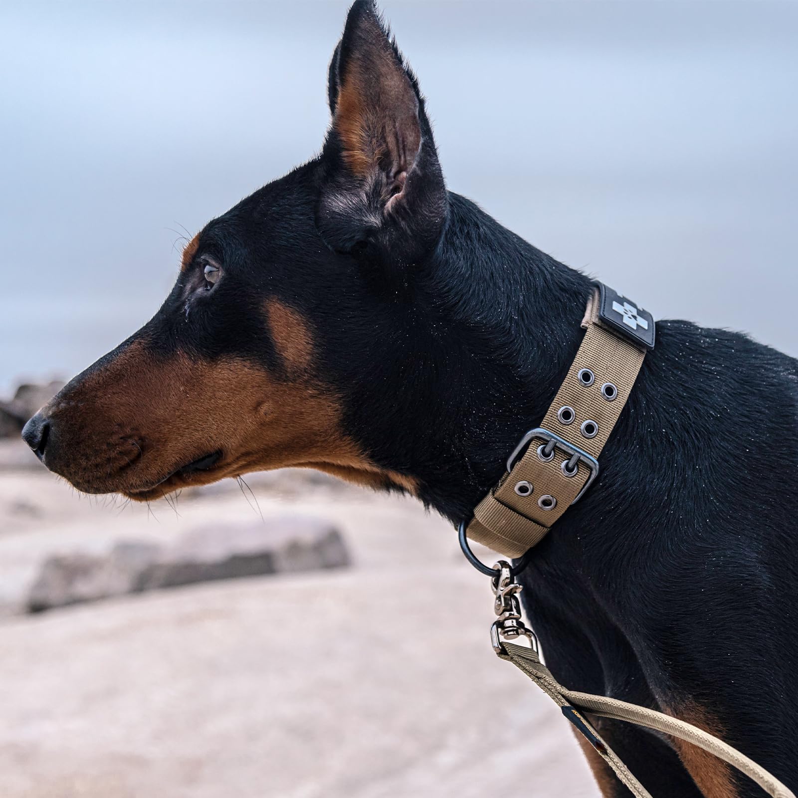 Military Dog Collar - 1.5