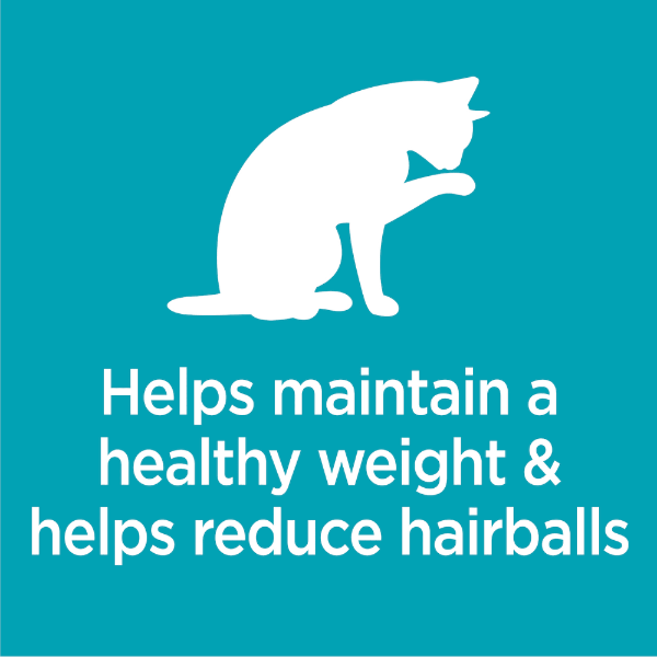 IAMS Proactive Health Indoor Weight & Hairball Care Dry Cat Food - Premium Nutrition for Indoor Cats - Perfect for Weight Management & Hairball Control at Home
