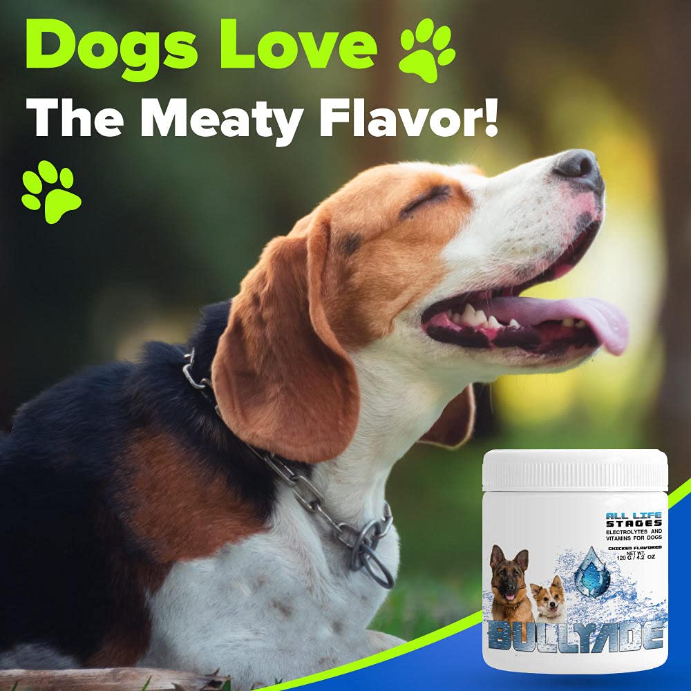 Premium Natural Dog Supplement with 18 Essential Vitamins, Minerals & Electrolytes - Chicken Flavor 4 Pack | Mixes Easily with Water or Food | Supports Immune Health, Digestion & Energy for Active Dogs