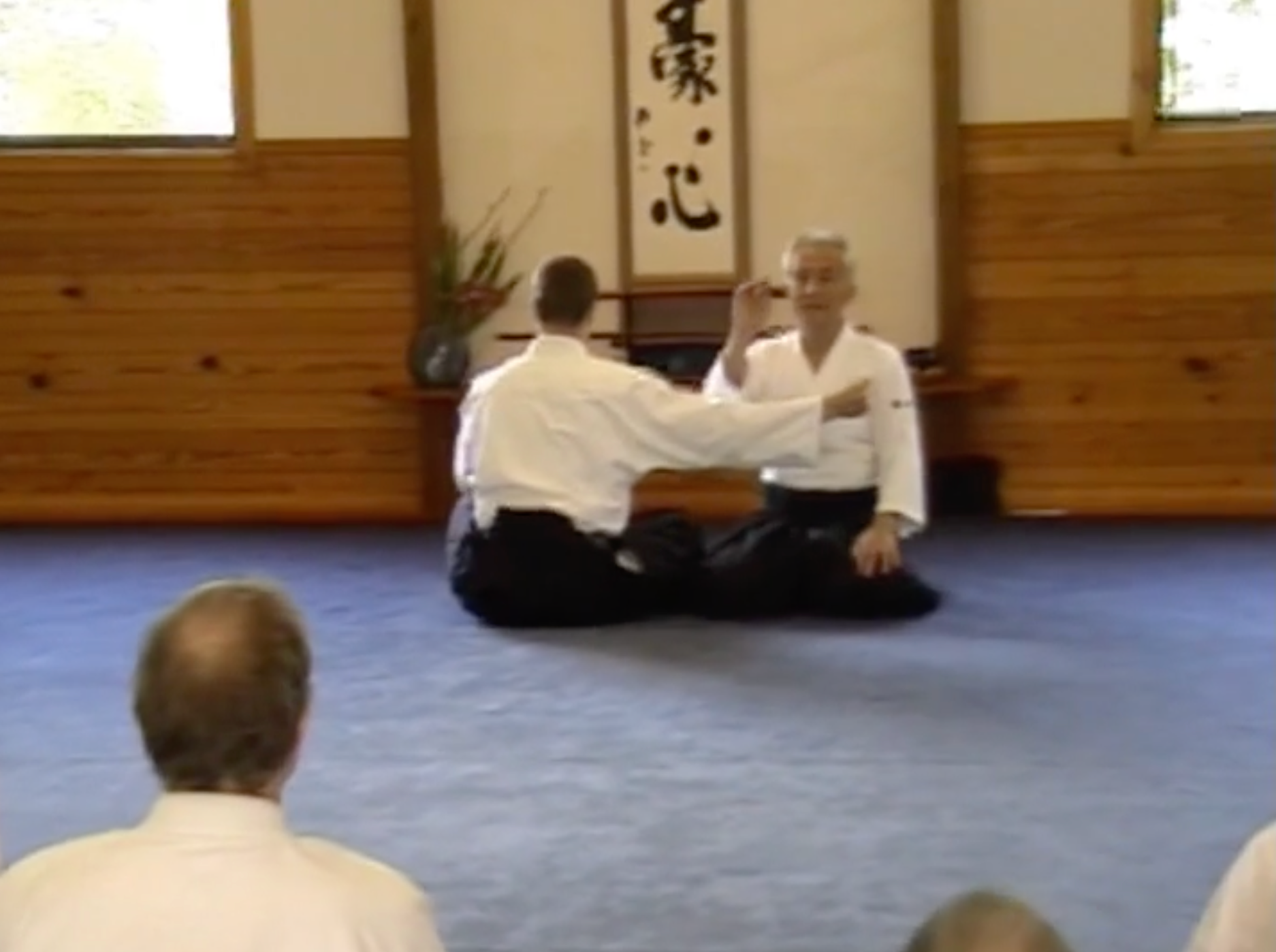 Aikido Yuishinkai 2005 Australia Seminar 2 DVD Set with Koretoshi Maruyama - Learn Traditional Aikido Techniques for Self-Defense & Martial Arts Training at Home