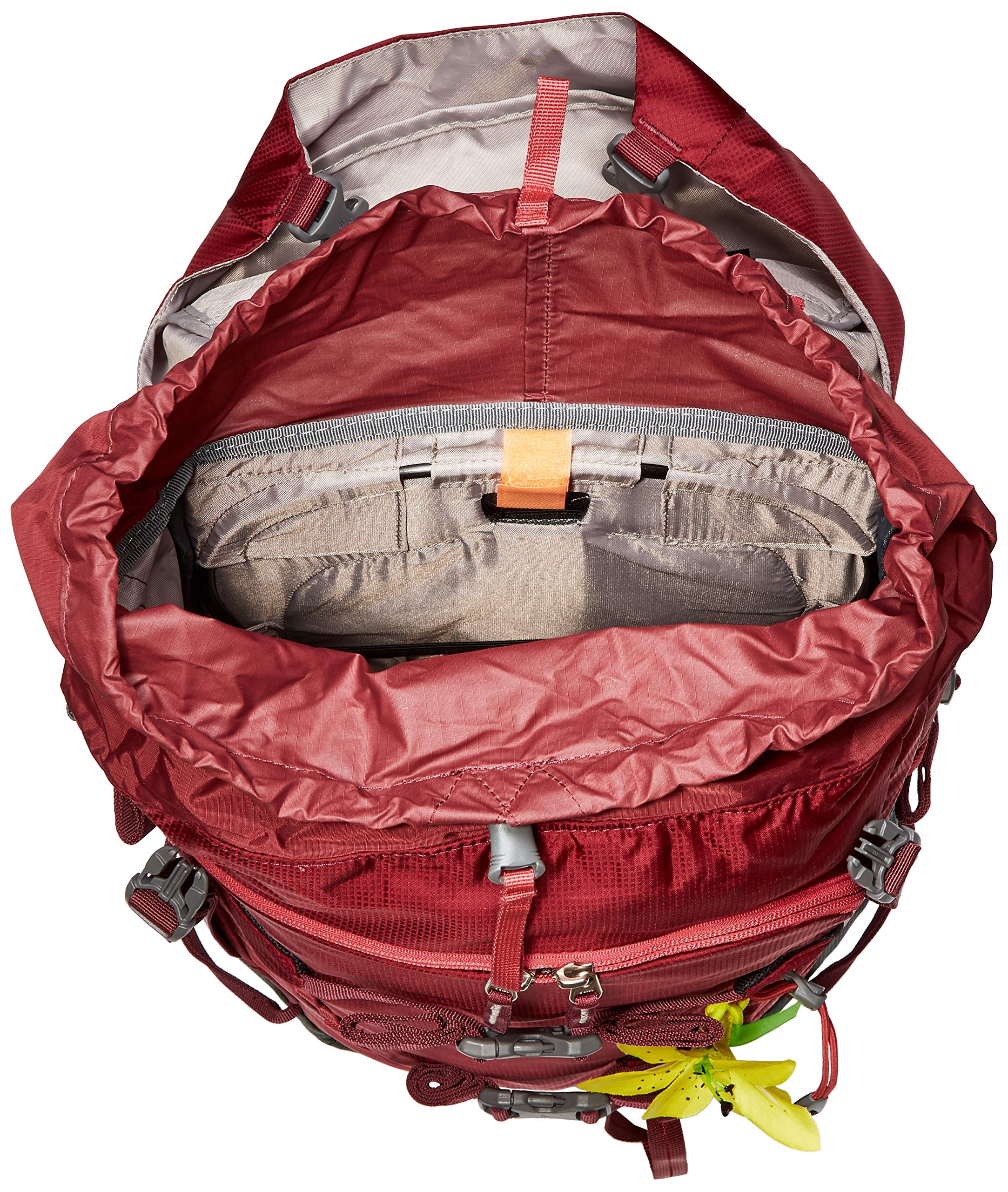 Deuter Rise Lite 26 SL Backpack for Women - Lightweight Hiking Daypack with Ventilation System, Maroon/Ivy Color - Perfect for Outdoor Adventures, Travel & Daily Commute