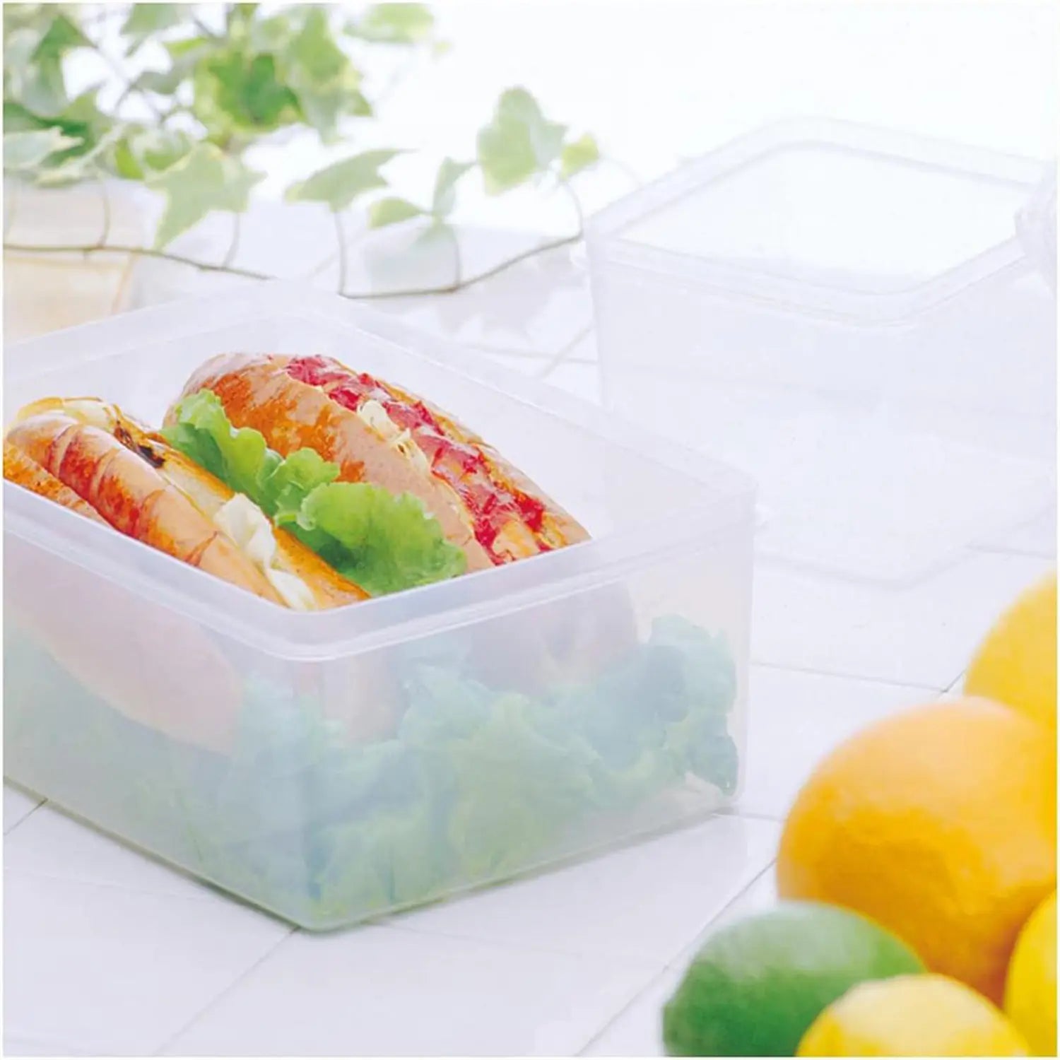 Entec High Pack Antibacterial Polypropylene Food Storage Container Set - BPA-Free, Leak-Proof, Stackable Kitchen Organizers for Meal Prep, Leftovers & Pantry Storage