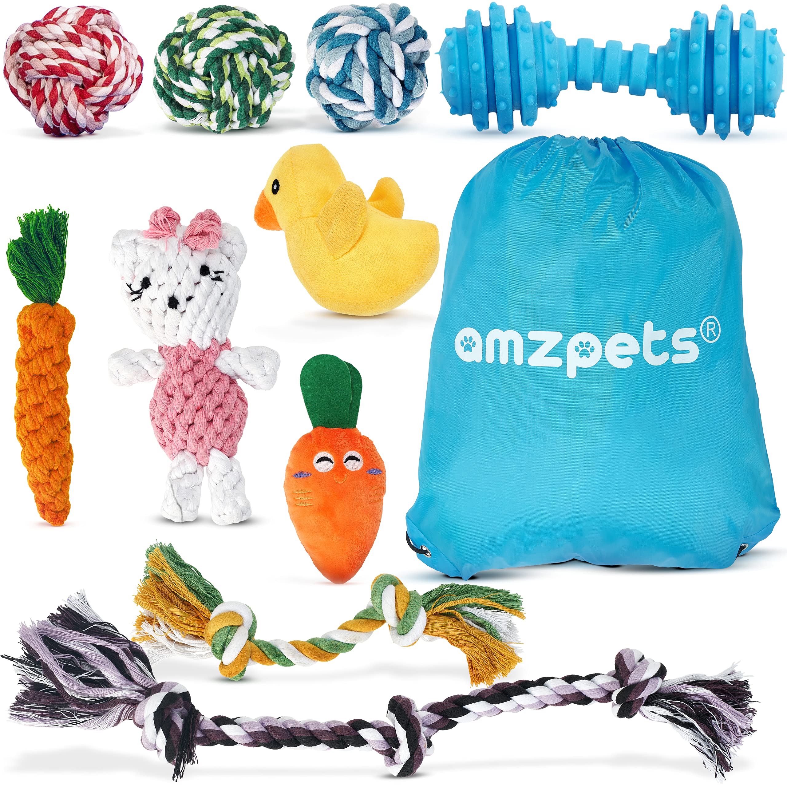 10 Pack Small Dog Toys for Puppies - Squeaky Chew Toys with Ropes, Balls & Rubber Bones - Interactive Plush Dog Toy Set for Tug of War, Fetch & Training - Perfect for Indoor/Outdoor Playtime & Puppy Teething Relief