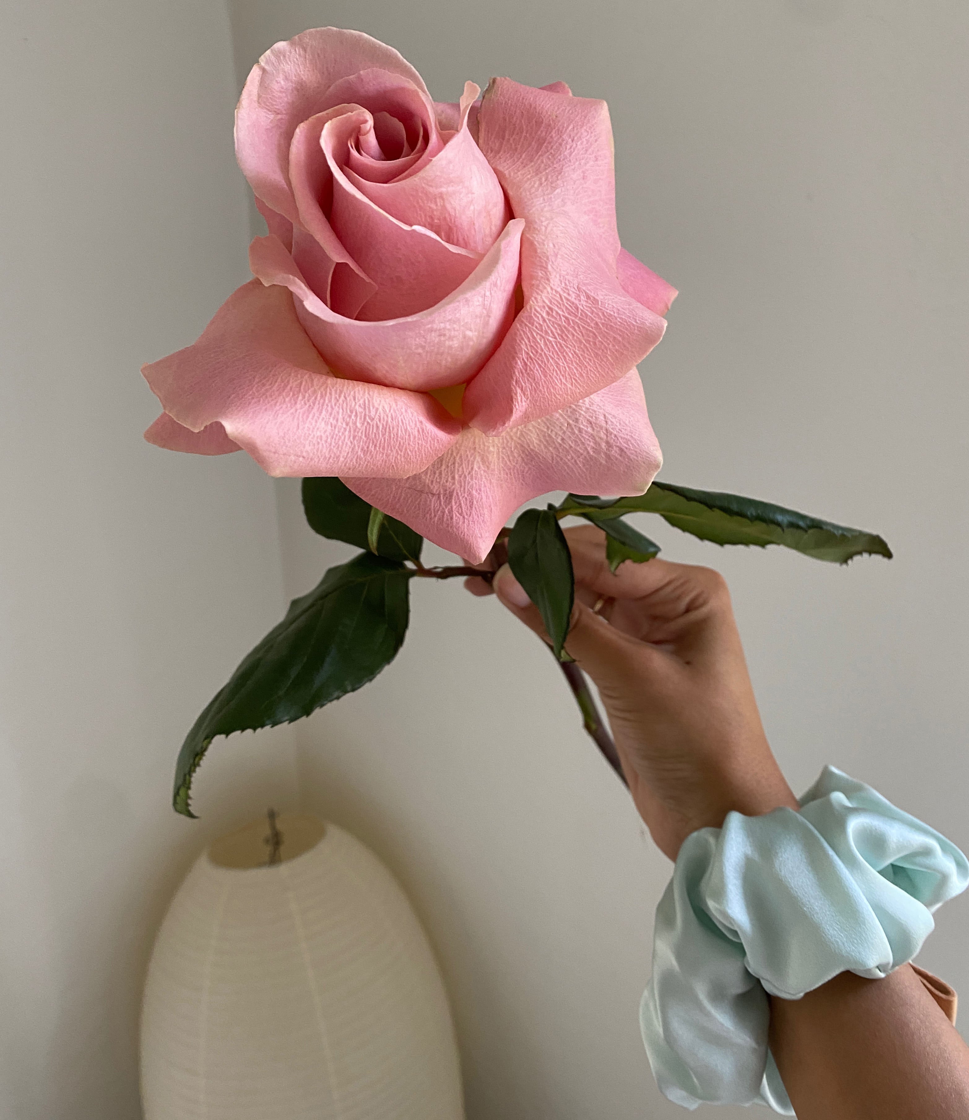 DSSSS - High-Quality Products for Online Shopping | Perfect for Home, Office & Gifting