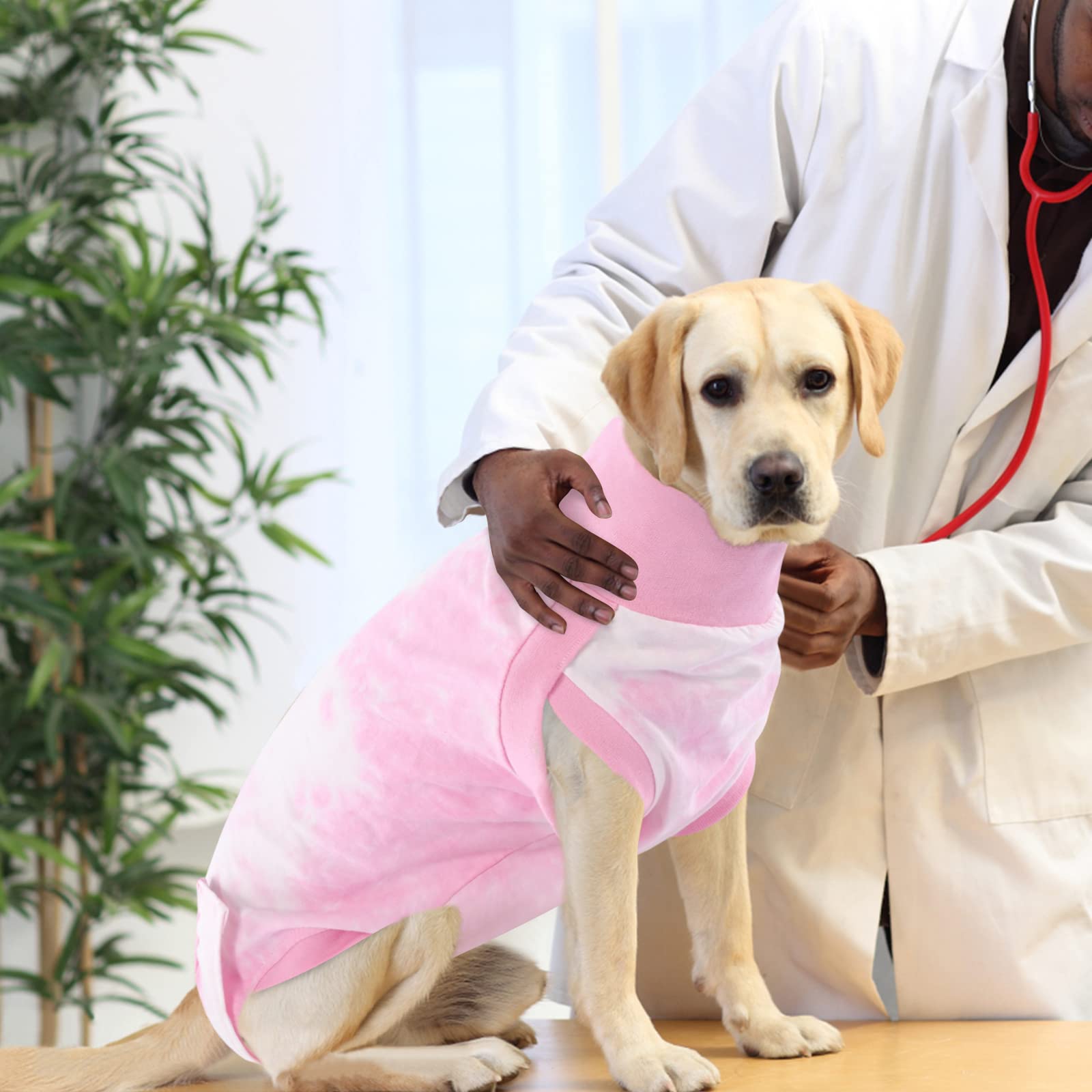 SAWMONG Dog Surgery Recovery Suit - Tie Dye Pet Surgical Onesie for Female & Male Dogs | Cone Collar Alternative After Spay/Neuter | Anti-Licking Abdominal Wound Protection for Small, Medium & Large Dogs | Perfect for Post-Op Care & Comfortable Healing