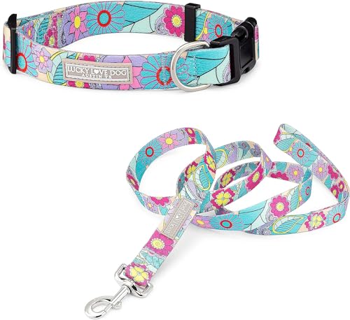 Caroline Collar/Leash Combo