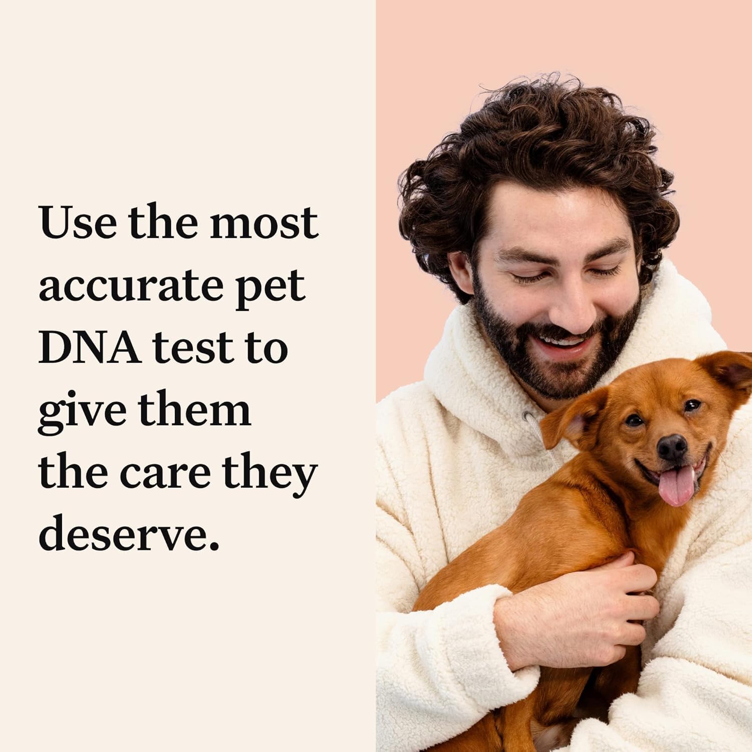 Wisdom Panel Premium Dog DNA Test Kit - 265+ Health Tests, 365+ Breed Identification, 50+ Traits & Genetic Ancestry Analysis for Dogs | At-Home Canine Health Screening | Perfect for Pet Owners, Breeders & Veterinary Professionals