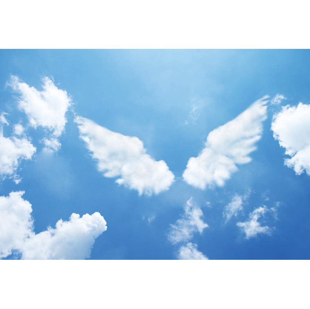 DORCEV Angel Wings Photography Backdrop - Blue Sky White Cloud Heaven Theme for Birthday Party, Gender Reveal, Baby Shower | Perfect for Girls Photo Studio Props & Event Decorations
