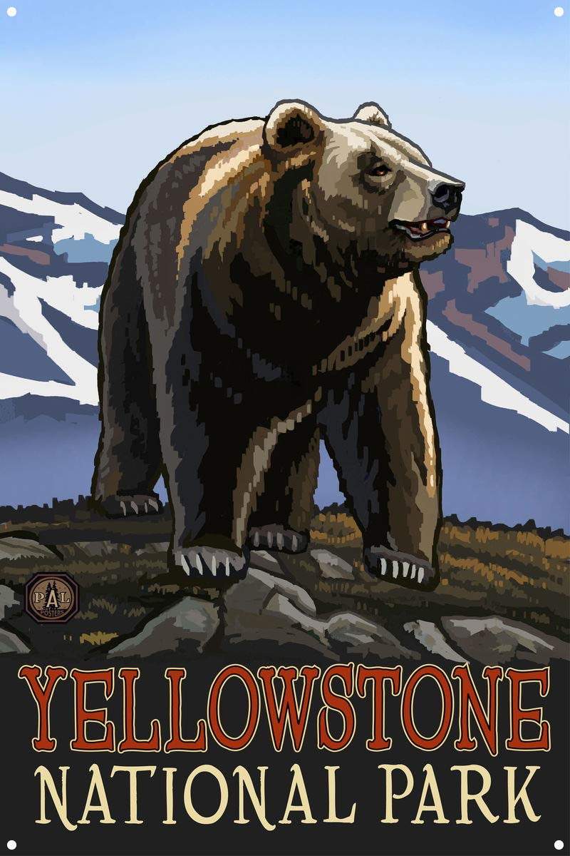 Grizzly Bear Walking Metal Art Print - Yellowstone National Park Wildlife Wall Decor - 11.5x17.5 Inch Travel Artwork by Paul A. Lanquist - Perfect for Home, Office & Cabin Decor