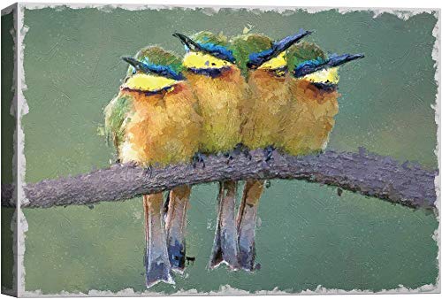 Base06-2103-birds-hol05