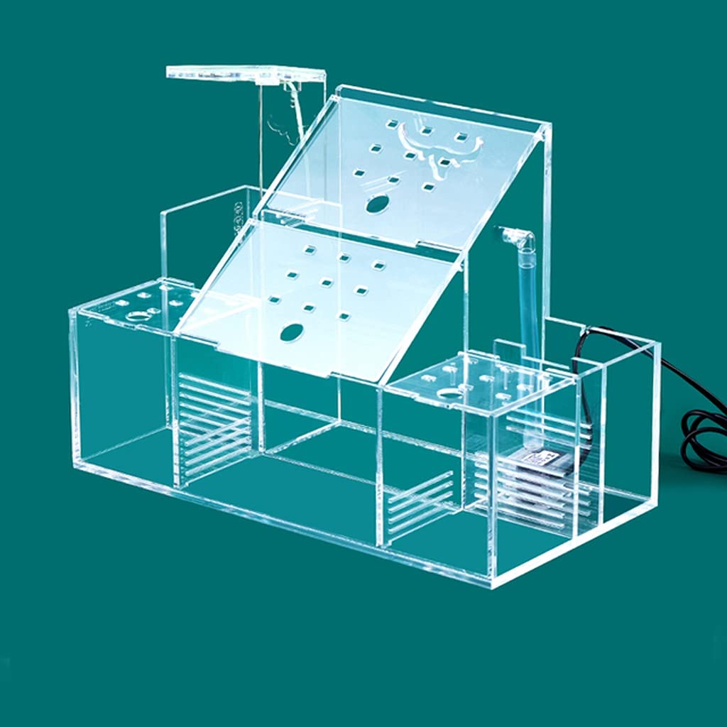 JJSPP Acrylic Aquarium Fish Tank - Small Transparent Isolation & Breeding Box for Betta Fish, Desktop Decorative Tank (Luxury Model) - Perfect for Home, Office, or Classroom Aquarium Setup