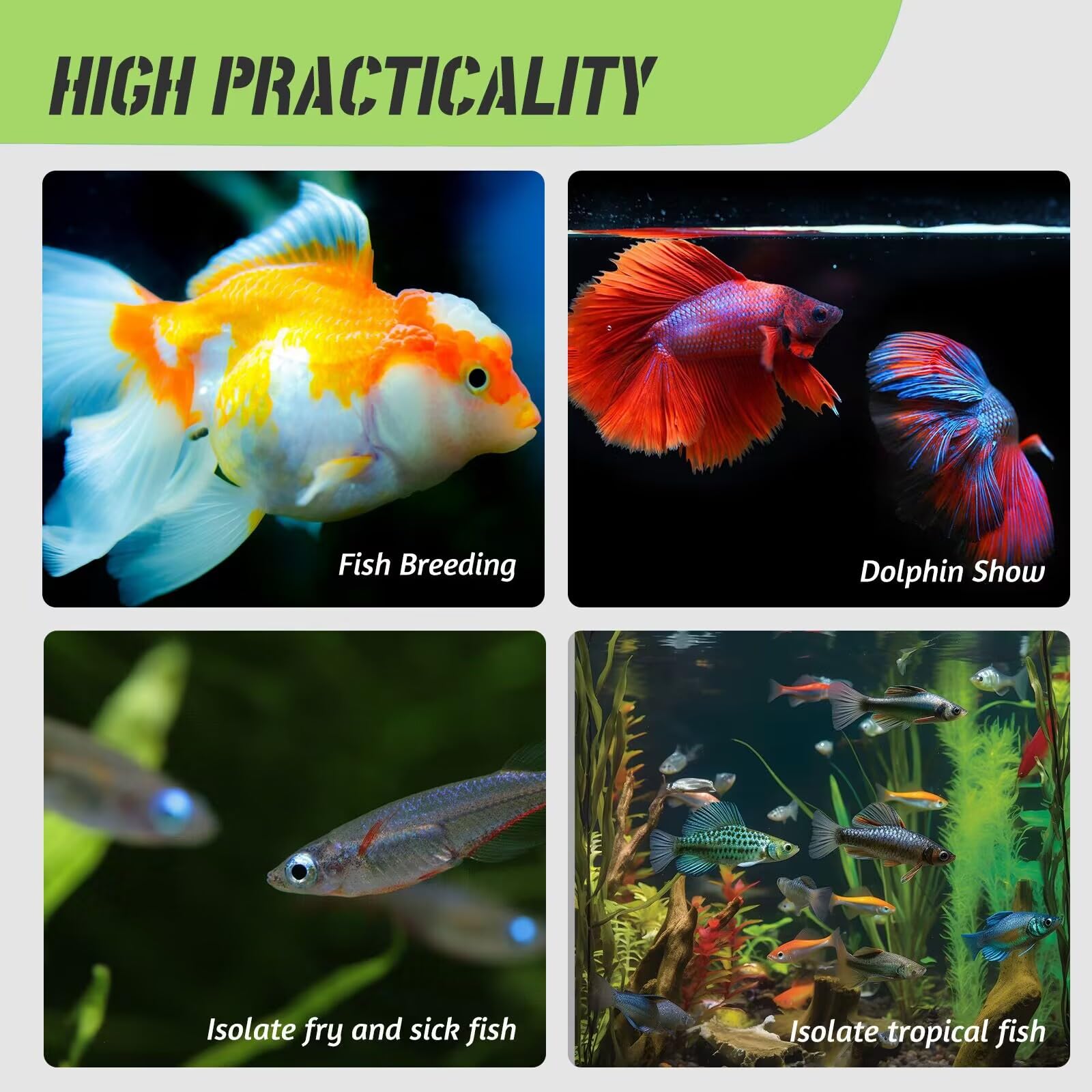 Aquarium Fish Breeder Box with Suction Cups - Isolation Divider for Baby Fish, Shrimp, Clownfish, Guppy - Perfect for Breeding, Quarantine & Tank Separation - Ideal for Freshwater & Saltwater Aquariums