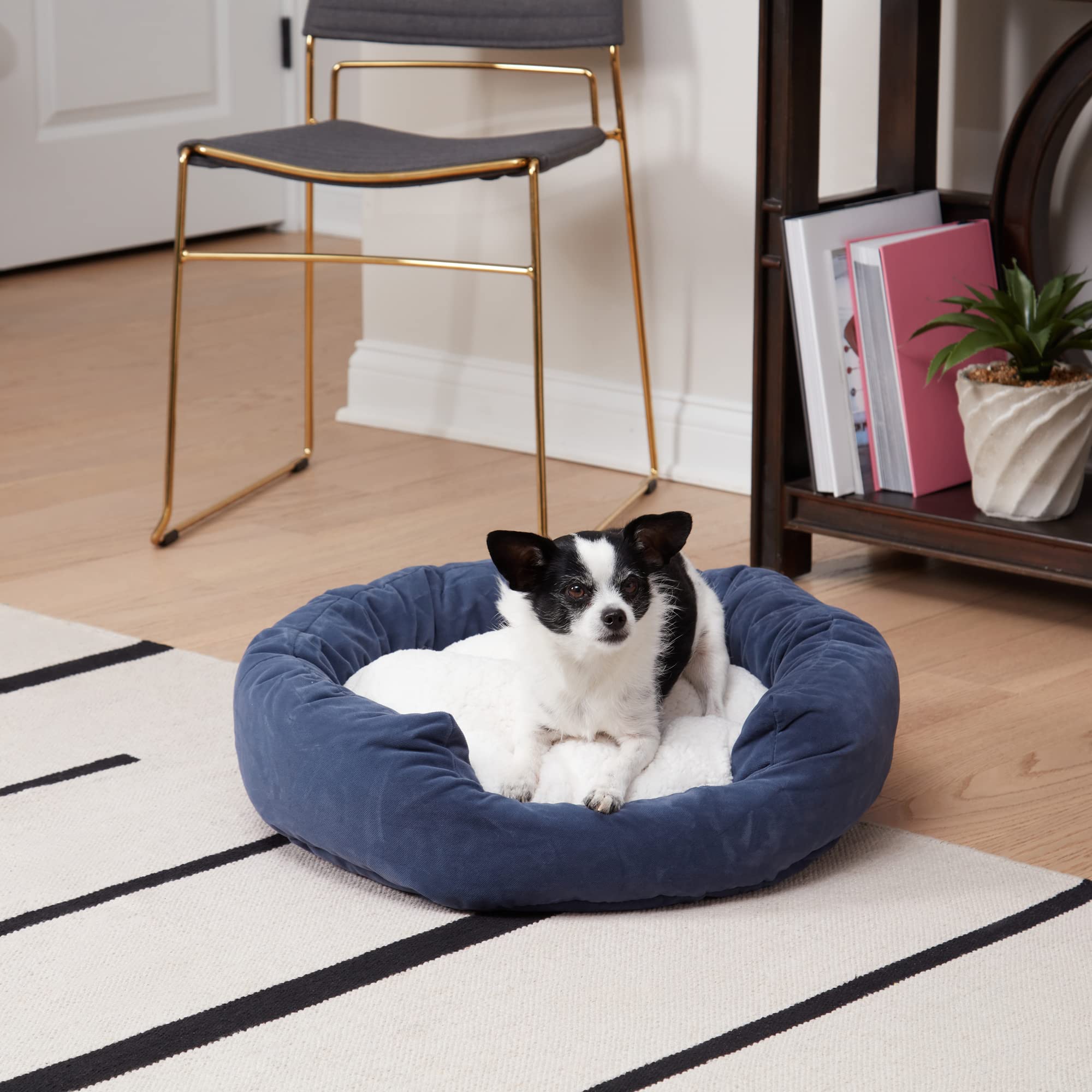 Maddie Donut Dog Bed with Removable Center Pillow - Cozy Small Pet Bed (24