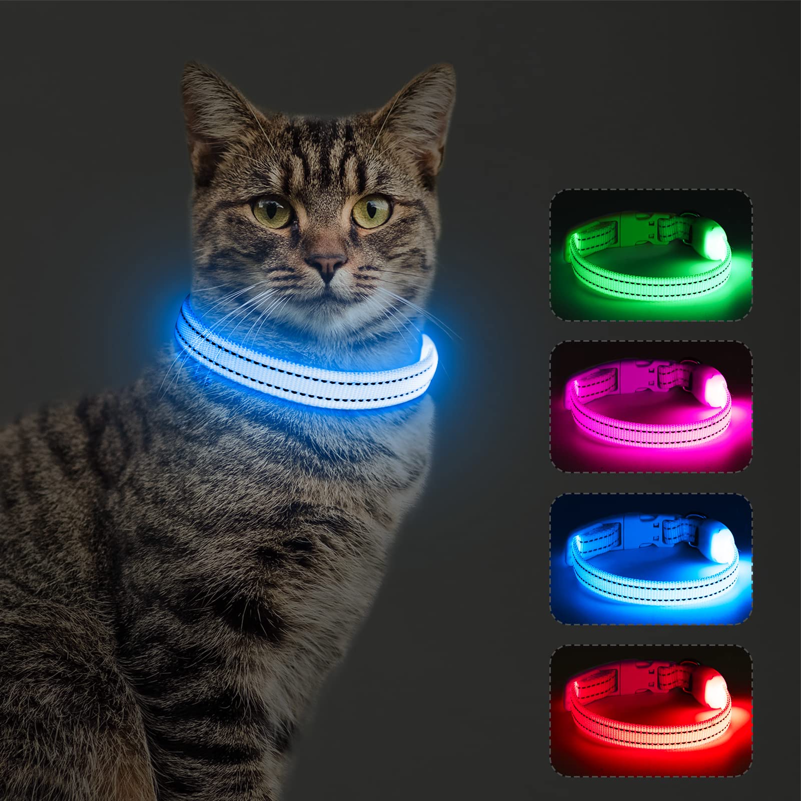 Dolitego Rechargeable LED Dog Collar - Adjustable Glowing Collar for Small Dogs & Puppies (XS Size), Reflective Night Safety Collar for Walking, Running & Outdoor Adventures