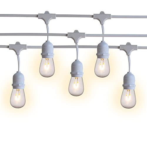 Shatterproof LED Bulbs 1-Watt (Grounded) - White Cord