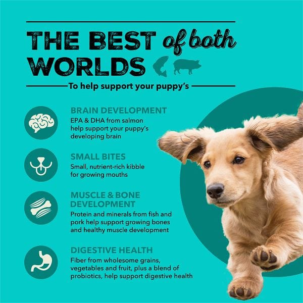 ACANA Healthy Grains Sea to Farm Puppy Recipe Dry Dog Food - Premium Grain-Inclusive Nutrition for Growing Puppies | Perfect for Small & Large Breed Puppy Development & Daily Meals