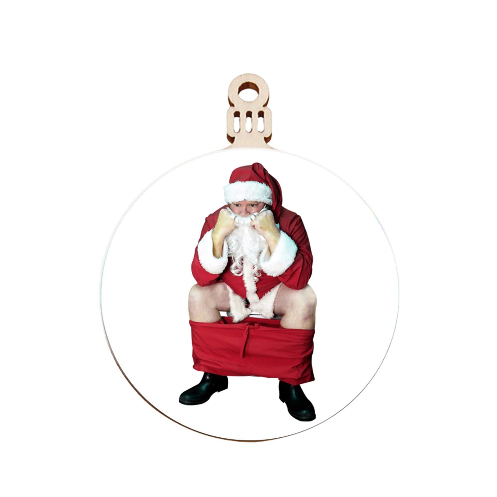 Personalized Survived Family Christmas Ornament 2020 - Holiday Decor for Tree, Hanging Plant Decorations, Glass Keepsake for Bedroom & Home - Perfect for Family Gatherings & Festive Decor