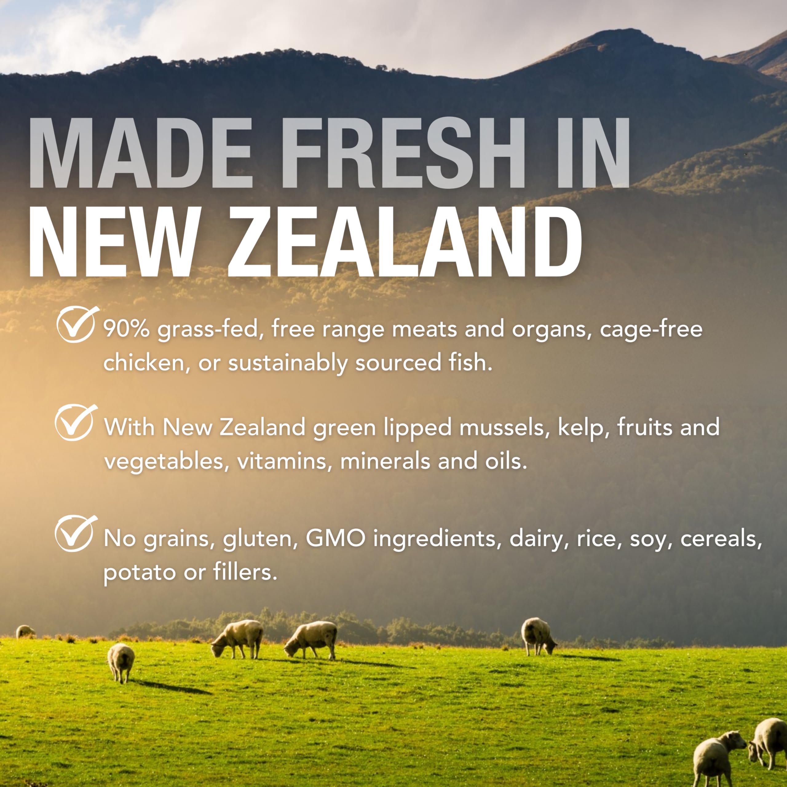 K9 Natural Grain-Free Wet Dog Food Pate - Beef Feast, 12 Pack of 6 Oz Cans | Limited Ingredient, Single-Source New Zealand Grass-Fed Beef Recipe | Perfect for Sensitive Stomachs & High-Energy Dogs