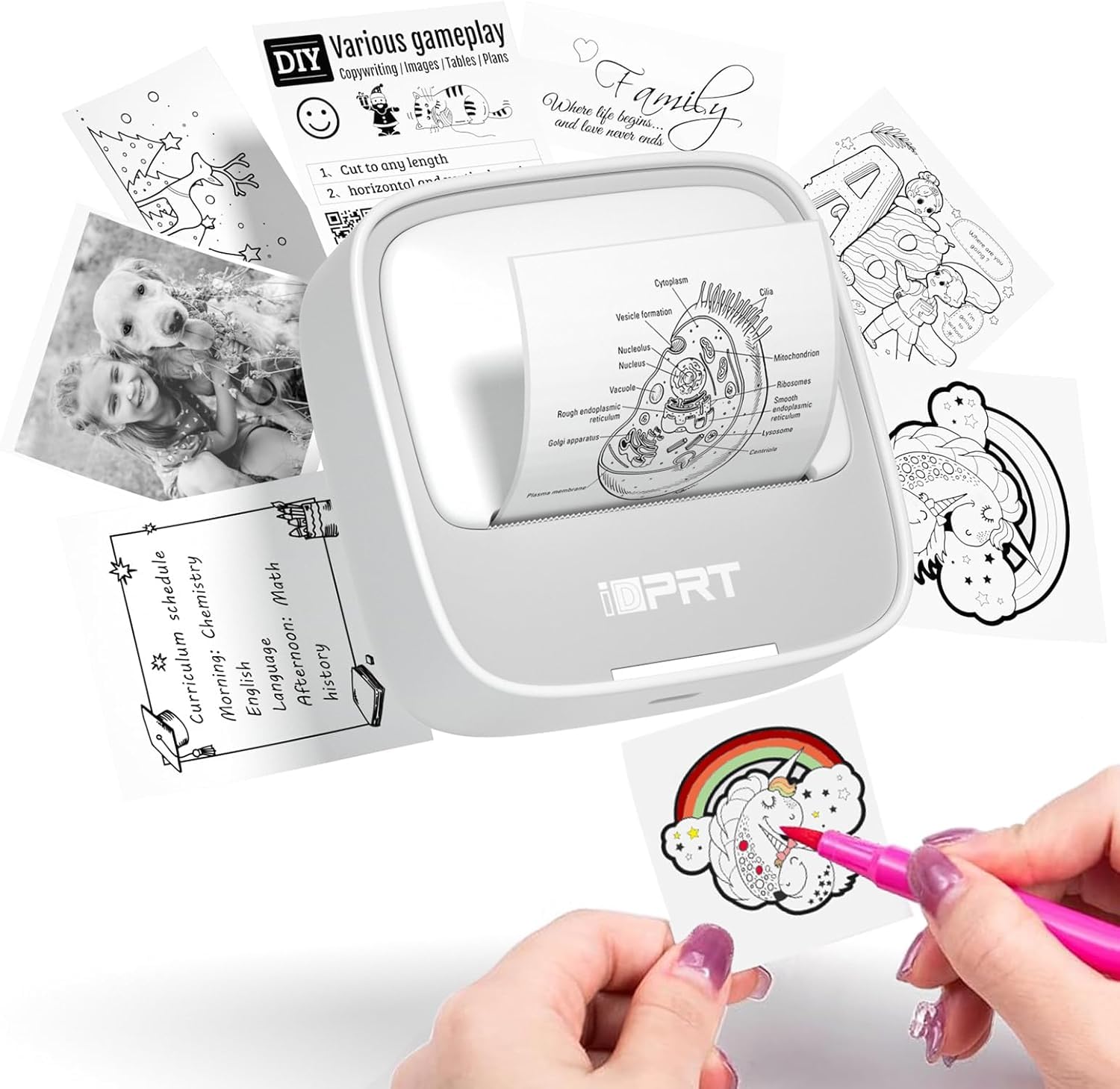 iDPRT Portable Thermal Sticker Maker Machine with Free App - Print Custom Labels, Study Notes & DIY Stickers - Includes 1 Roll Sticker Paper & Multiple Templates (Grey) - Perfect for School, Office & Home Organization