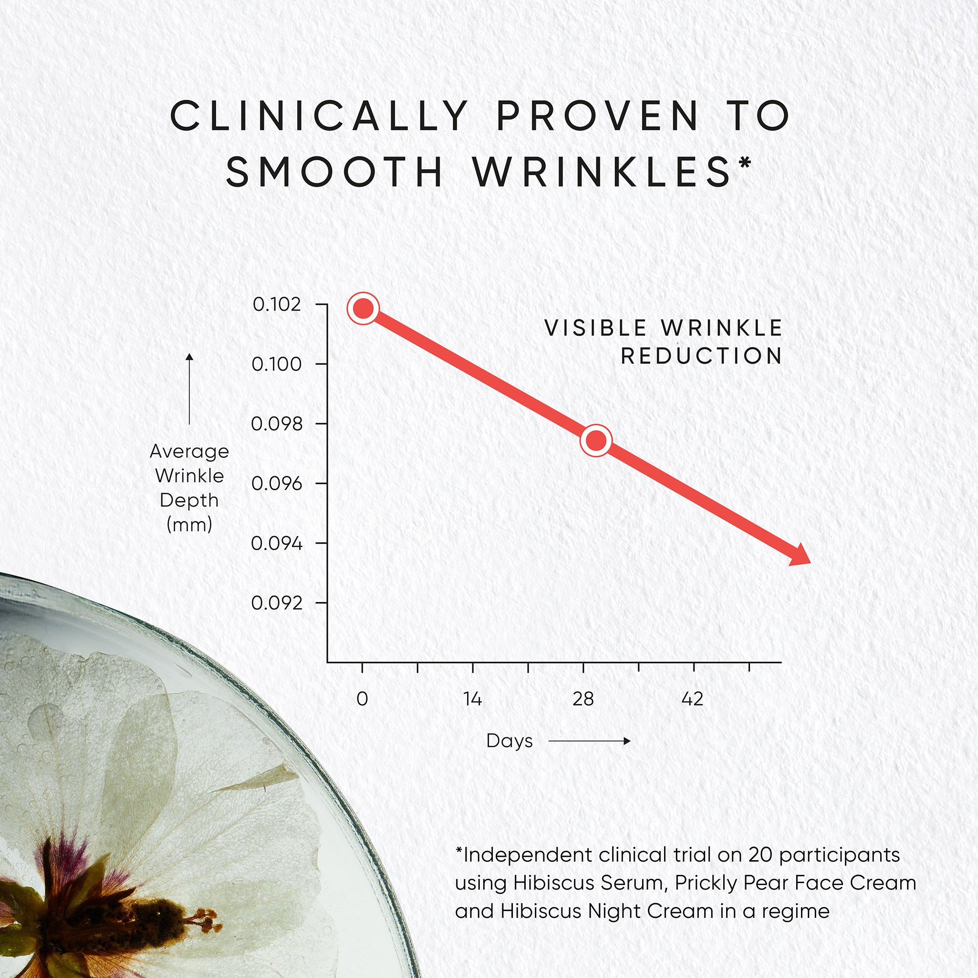 Best Hibiscus Night Cream with Myoxinol for Anti-Aging & Wrinkle Reduction - Perfect for Nighttime Skincare Routine