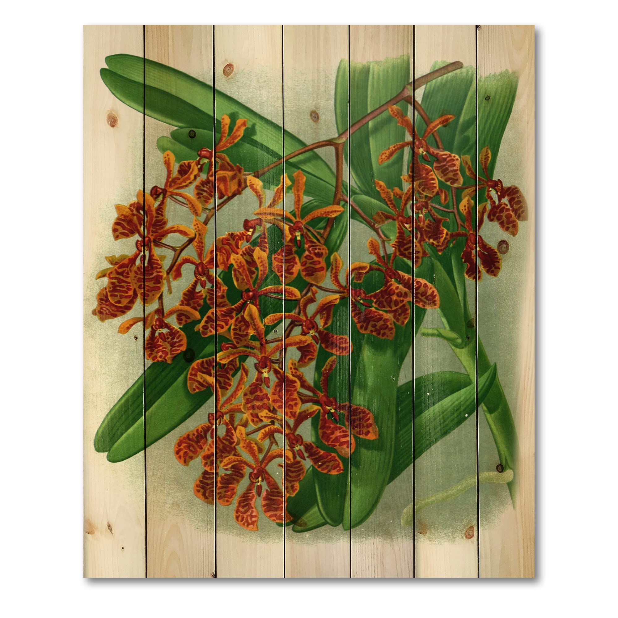 DesignQ Retro Floral Farmhouse Wood Wall Decor - Large Red Floral Wood Wall Art Panels Printed on Natural Pine - Perfect for Living Room, Bedroom & Home Office Decor