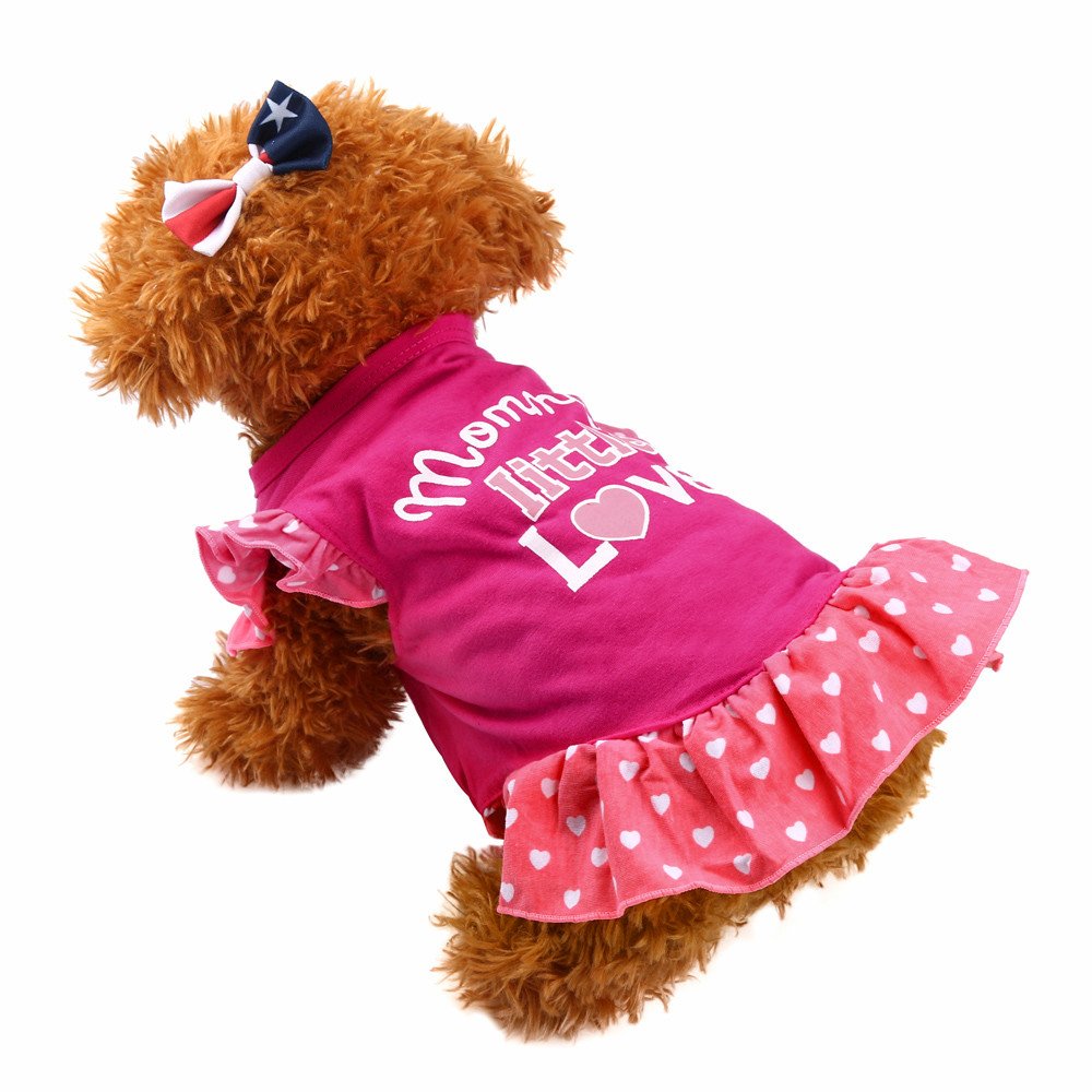 **Cute Halloween Dog Hoodie - Small Pet Sweatshirt with Fun Print, Puppy T-Shirt & Fashion Vest for Dogs & Cats - Perfect for Costume Parties & Photo Shoots**