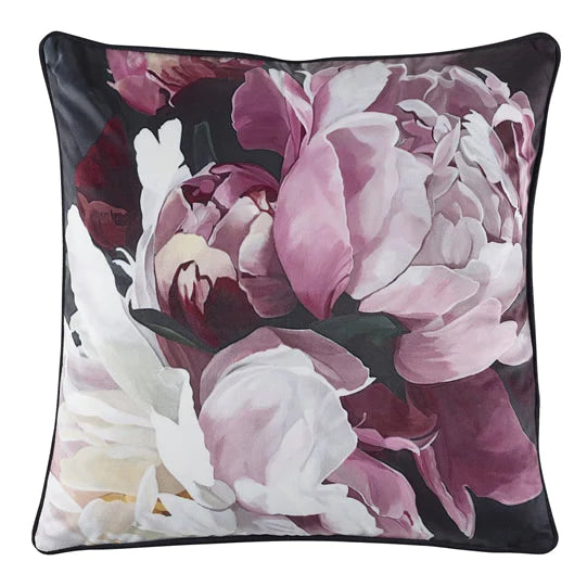 The Velvet Touch of Comfort: A Story of Transformation