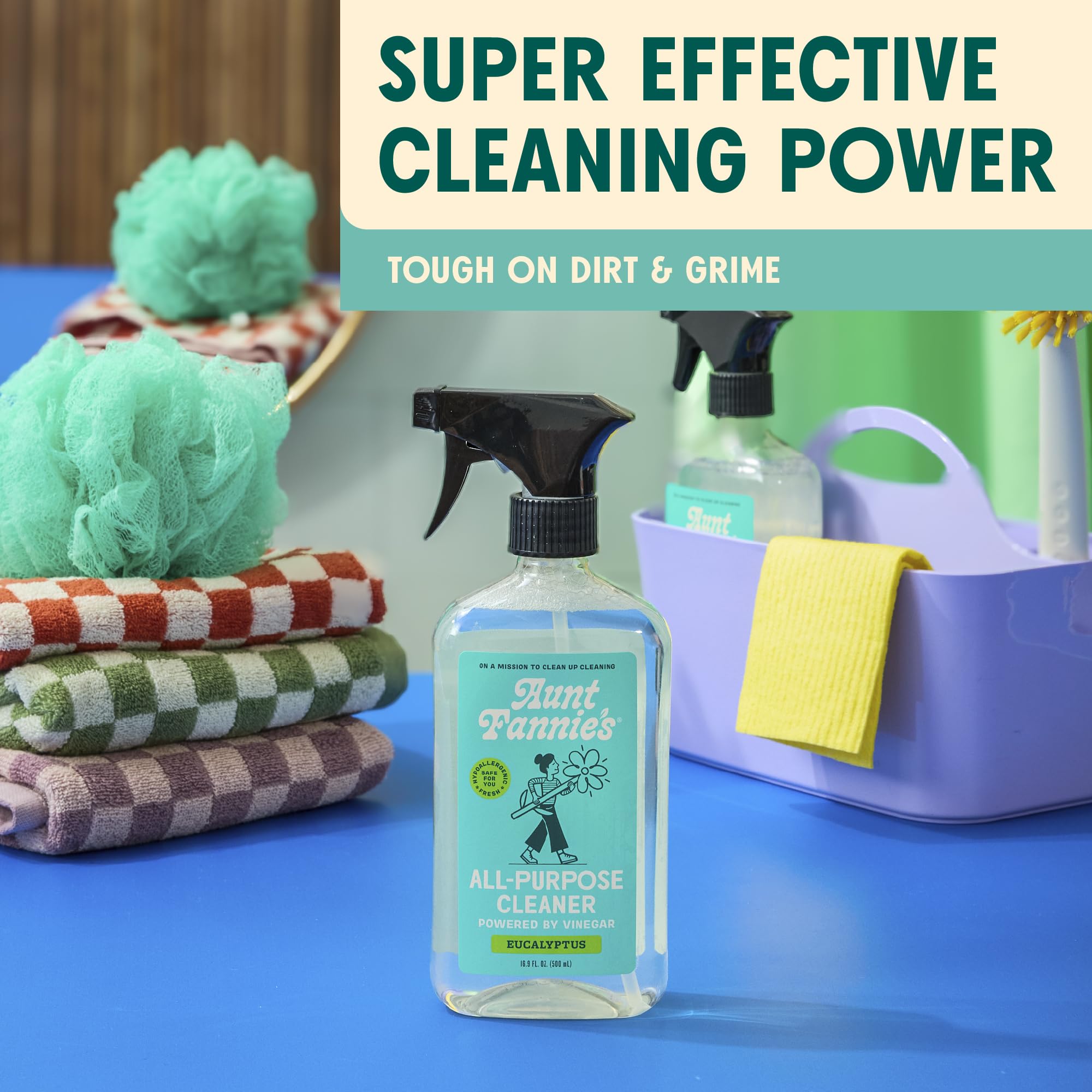 Aunt Fannie's Vinegar Cleaning Kit - All Purpose Spray, Wipes & Floor Cleaner for Home Cleaning (Eucalyptus)