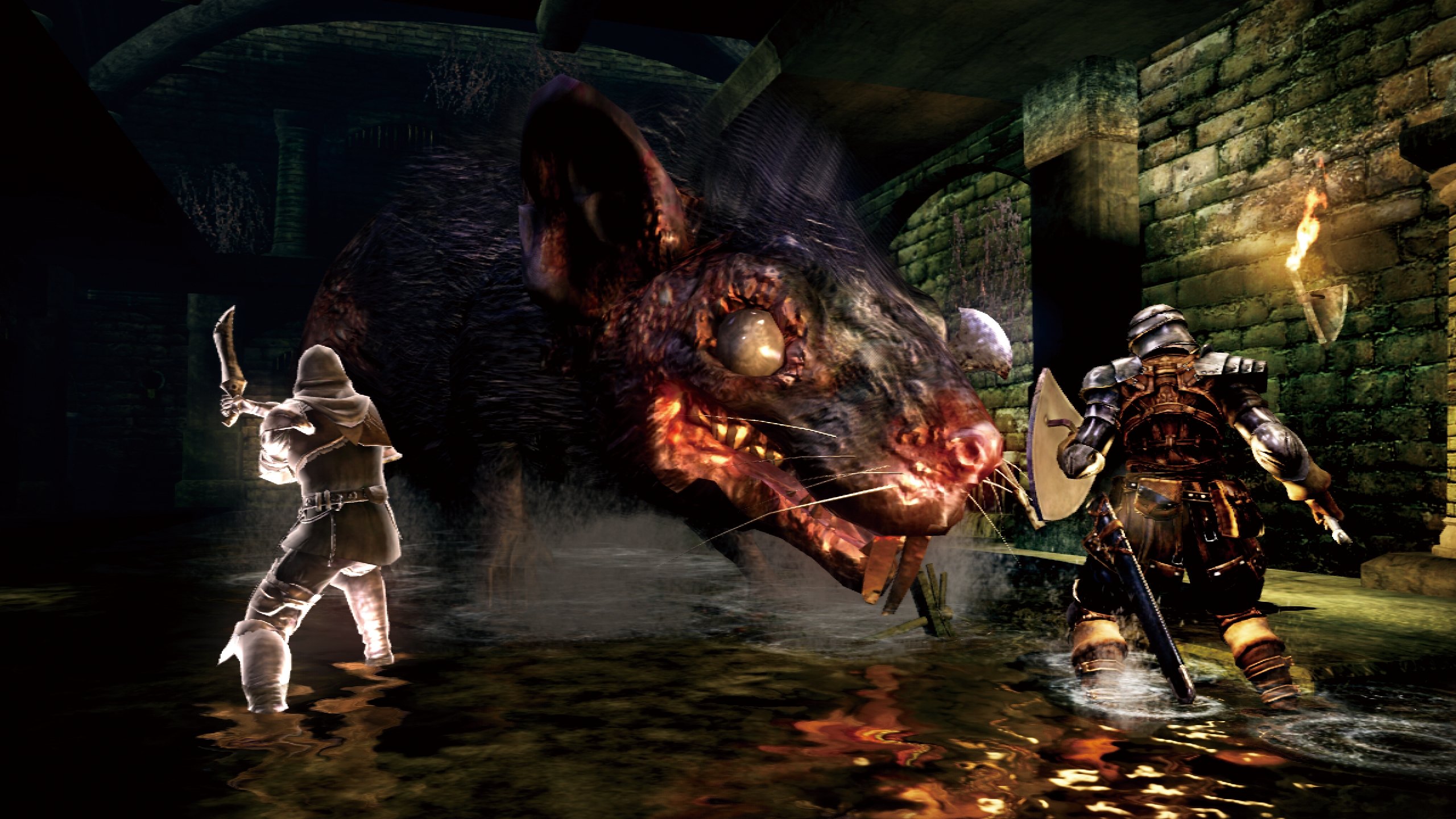 Dark Souls Game - Epic Fantasy RPG Adventure for PC & Console