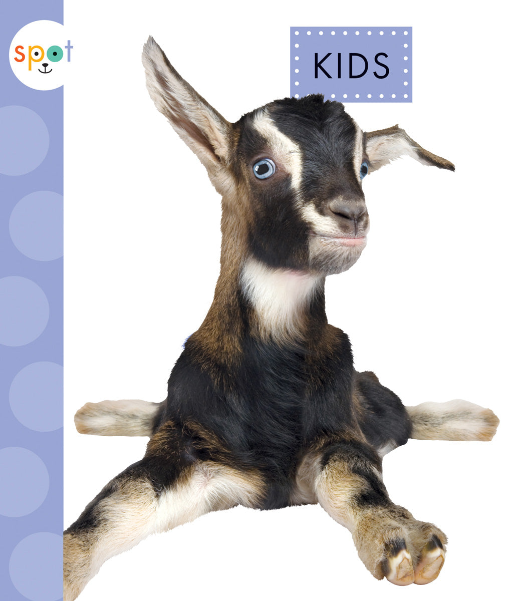 Best Kids Clothes, Toys & Accessories for Boys & Girls - Trendy & Comfortable Styles for School, Play & Everyday Wear
