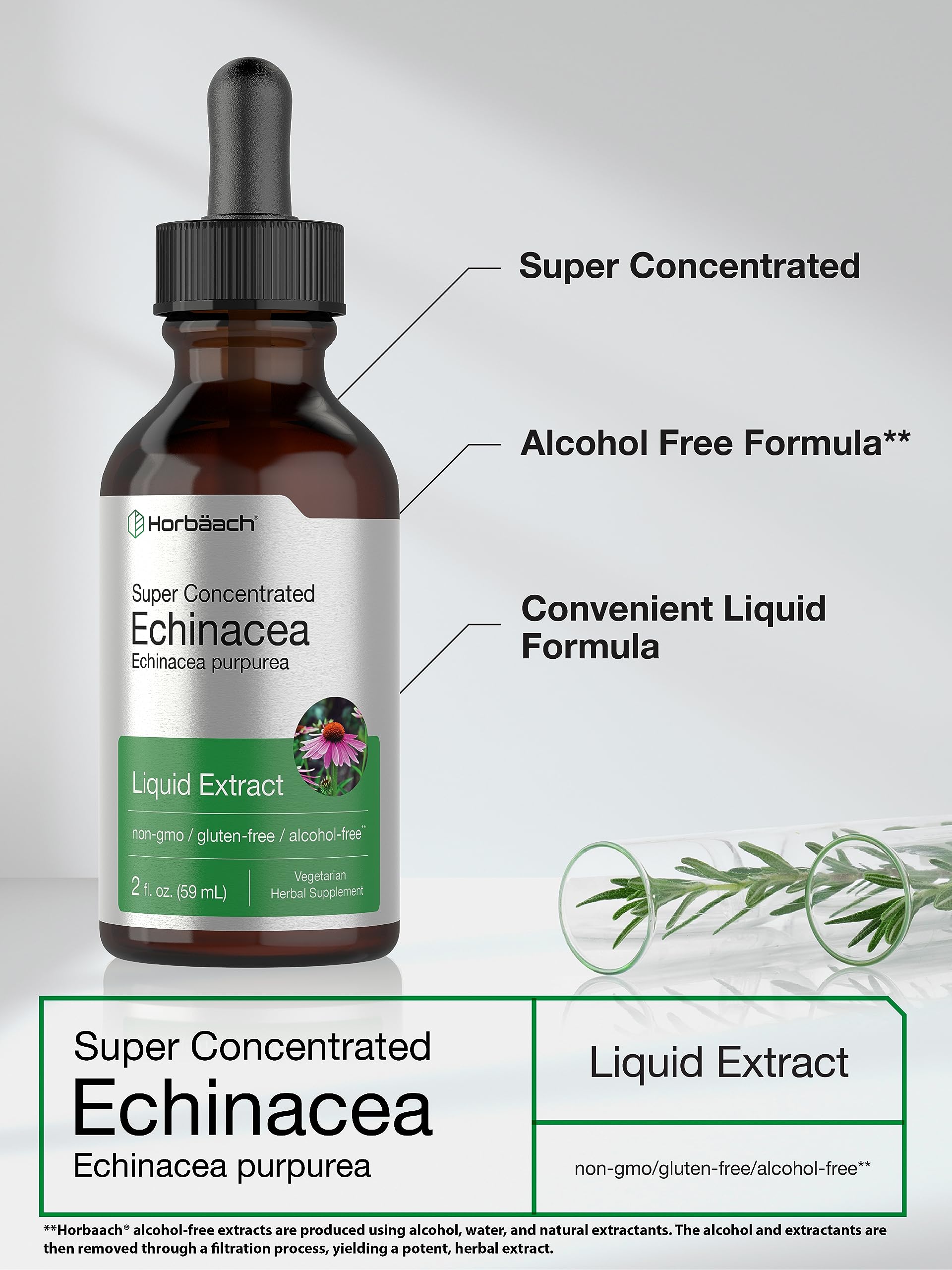 Horbäach Echinacea Drops Liquid Extract - 2 fl oz Super Concentrated Tincture | Alcohol-Free, Vegetarian, Non-GMO, Gluten-Free Immune Support Supplement | Great for Cold & Flu Season, Daily Wellness Boost