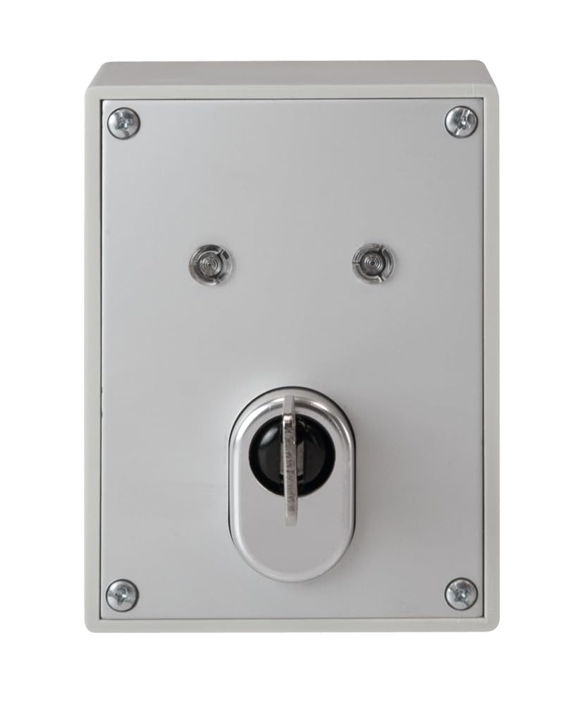 ABUS SE1010 Heavy Duty Silver Key Switch - 117 x 85 x 42mm (BxHxT) - Secure Access Control for Electrical Cabinets, Industrial Equipment & Security Systems
