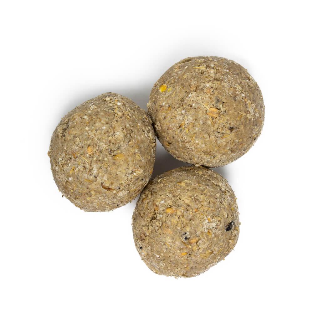Premium Wild Bird Fat Balls - No Mess Net-Free Suet Feed (50 Pack) - High Energy Winter Bird Food for Garden & Backyard Feeding