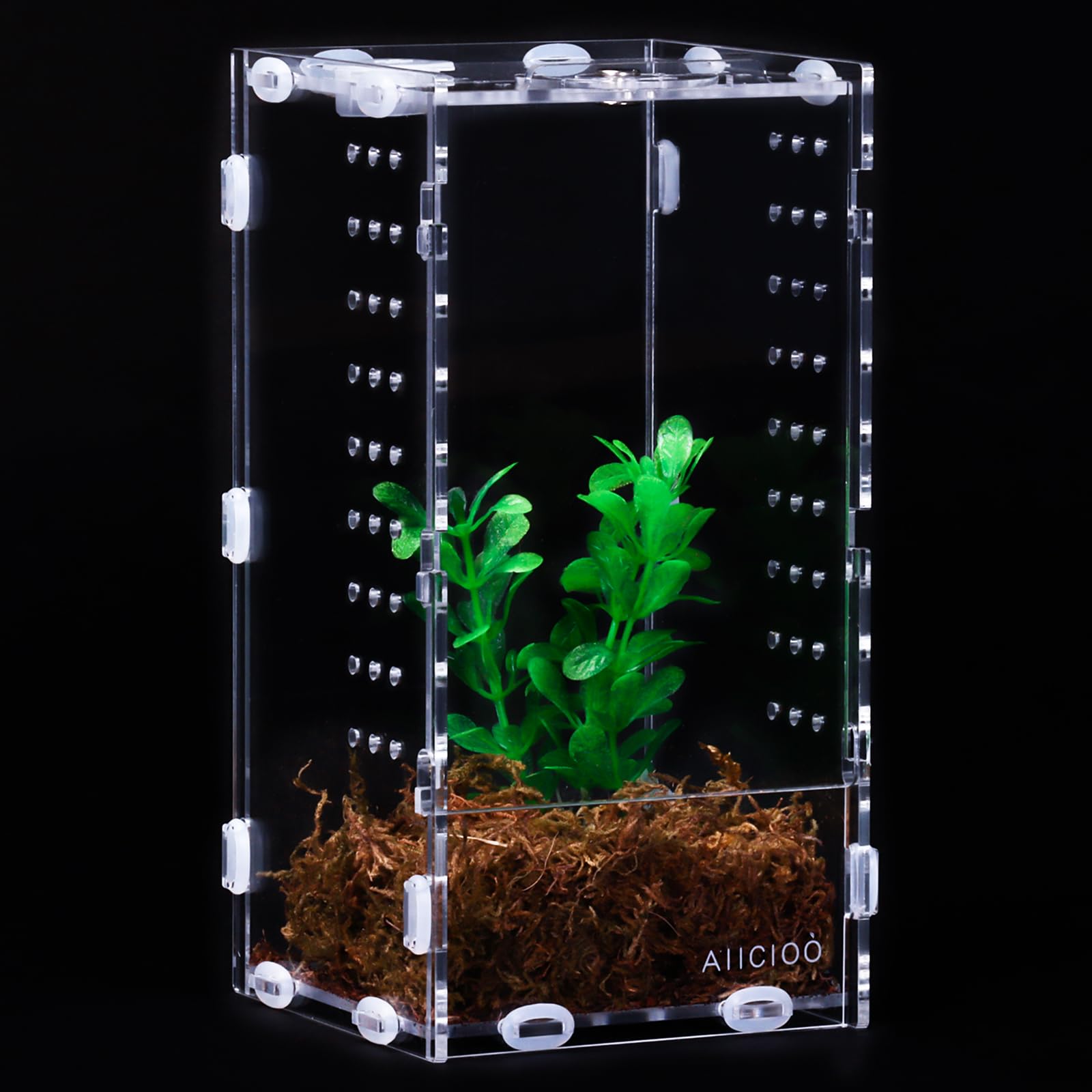AIICIOO 4x4x8 Inches Clear Acrylic Micro Habitat Terrarium - Tarantula Enclosure Box, Insect & Reptile Feeding Tank for Jumping Spiders, Small Tree-Dwelling Reptiles | Perfect for Home, Office & Classroom Observation