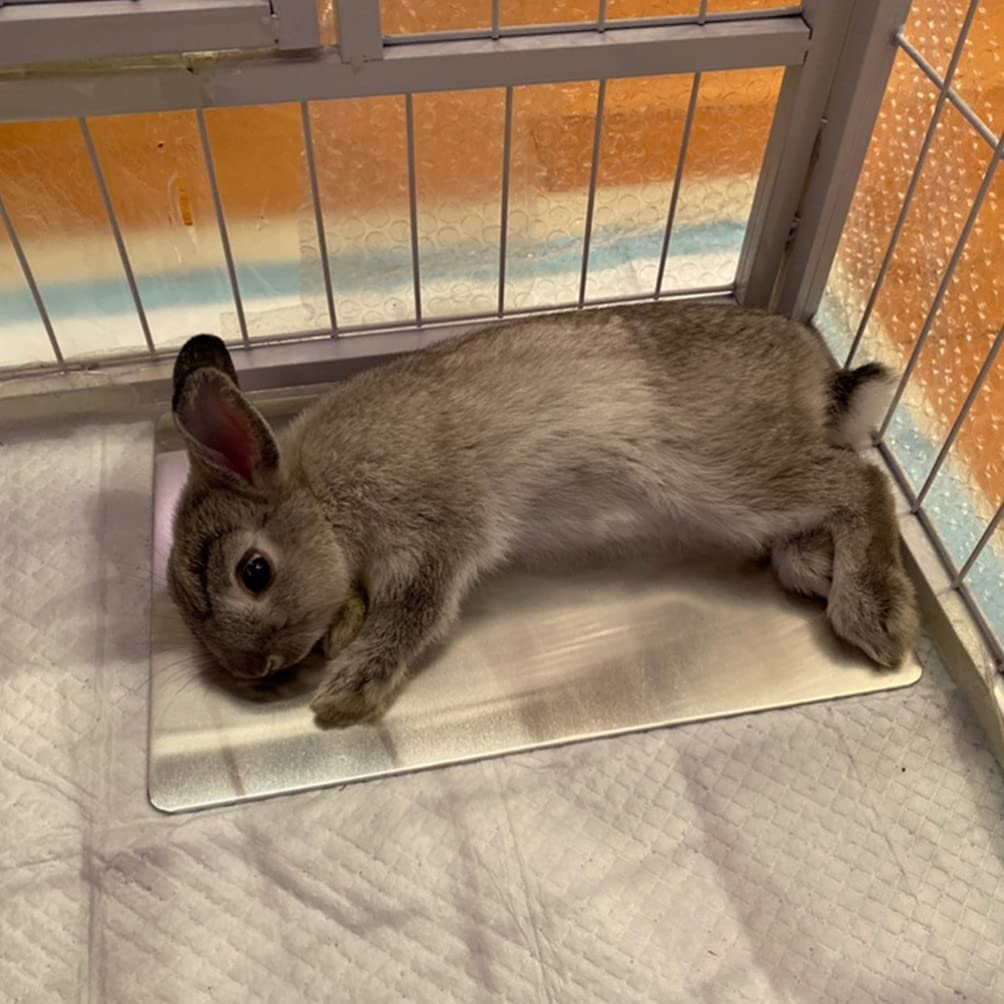 Rabbit Cooling Pad - Pet Ice Bed for Summer, Hamster Cool Mat - Home & Outdoor Use