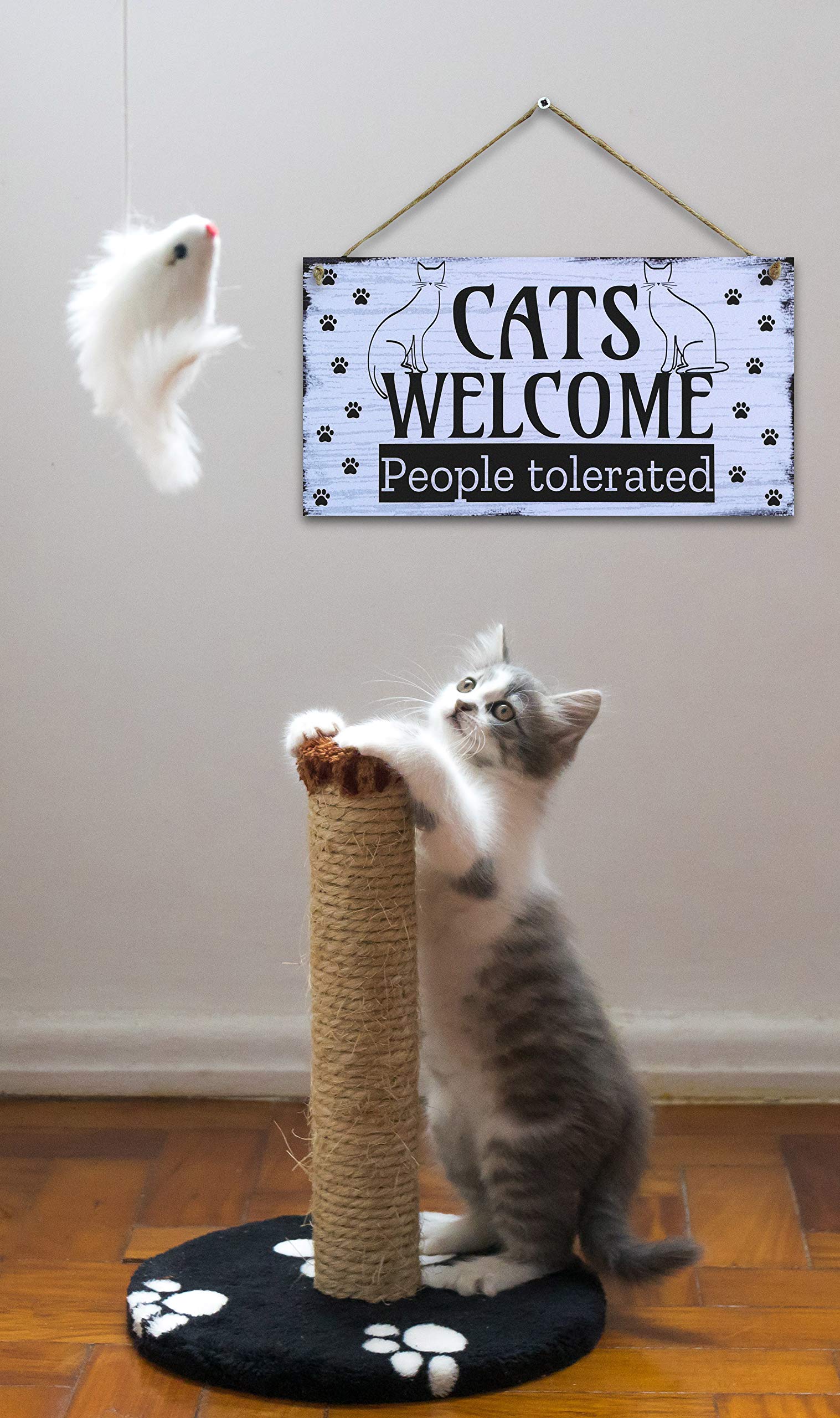 Funny Cat Welcome Sign - 6