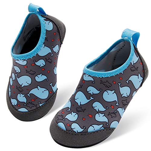 Grey Lightblue Whale