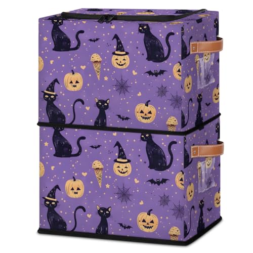 Pumpkin Cat Purple