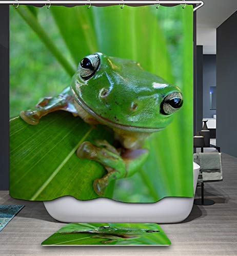 Waterproof Tree Frog Shower Curtain with 12 Hooks - Tropical Green Leaves Watercolor Design, 60x72 Inch Bathroom Decor for Modern & Nature-Themed Bathrooms | Perfect for Spa-Like Showers and Jungle-Inspired Home Decor
