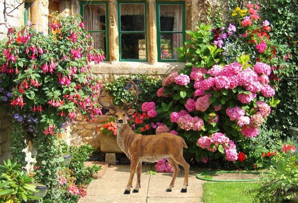Standing Deer Statue with Removable Antlers - Wildlife Animal Garden Decor for Indoor & Outdoor Use - Perfect for Yard, Lawn, Patio, and Home Decoration Gifts