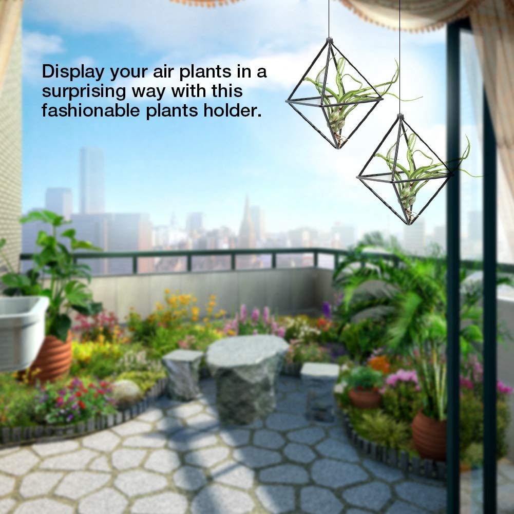 Geometric Air Plant Holders - Modern Hanging Stand for Tillandsia, Bromeliads & Succulents | Stylish Home Decor for Living Room, Office & Gifts (Black)