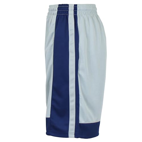 Silver/Navy (Trim)