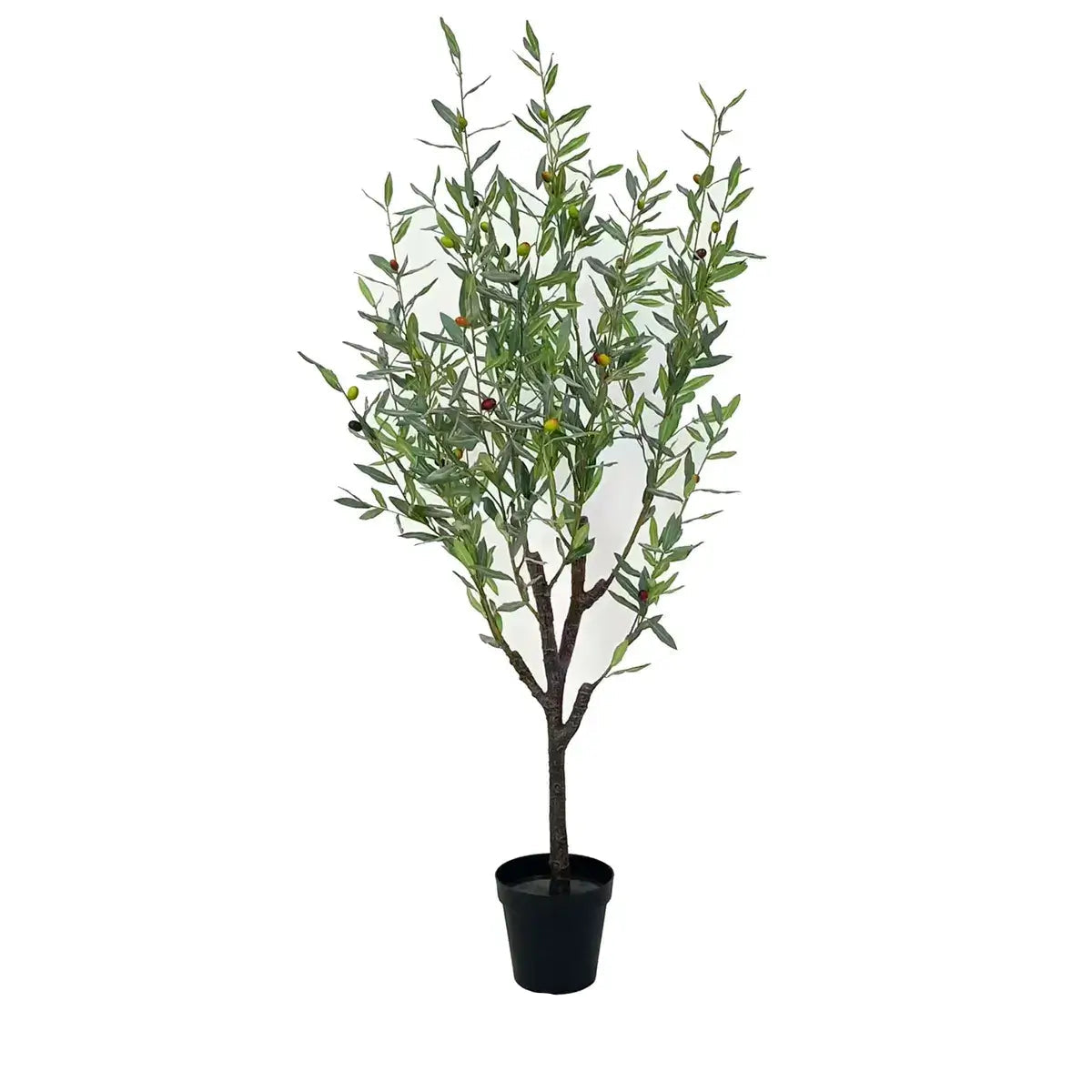 Greek Olive Tree - Premium Potted Olive Plant for Home & Garden Decor - Perfect for Indoor & Outdoor Landscaping, Mediterranean Style Gardens, and Patio Decorations