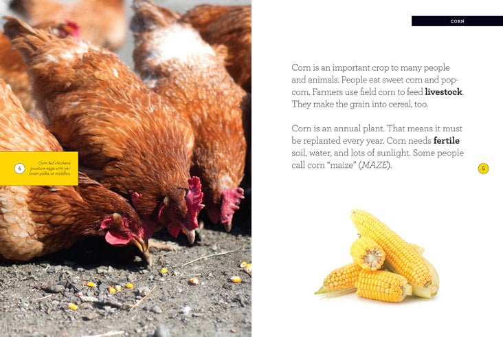 Corn Seeds for Planting - Non-GMO, High Yield Variety (978-1-60818-561-0) - Perfect for Home Gardens & Sustainable Farming