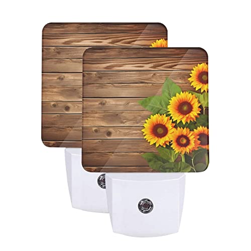 Sunflowers Floral