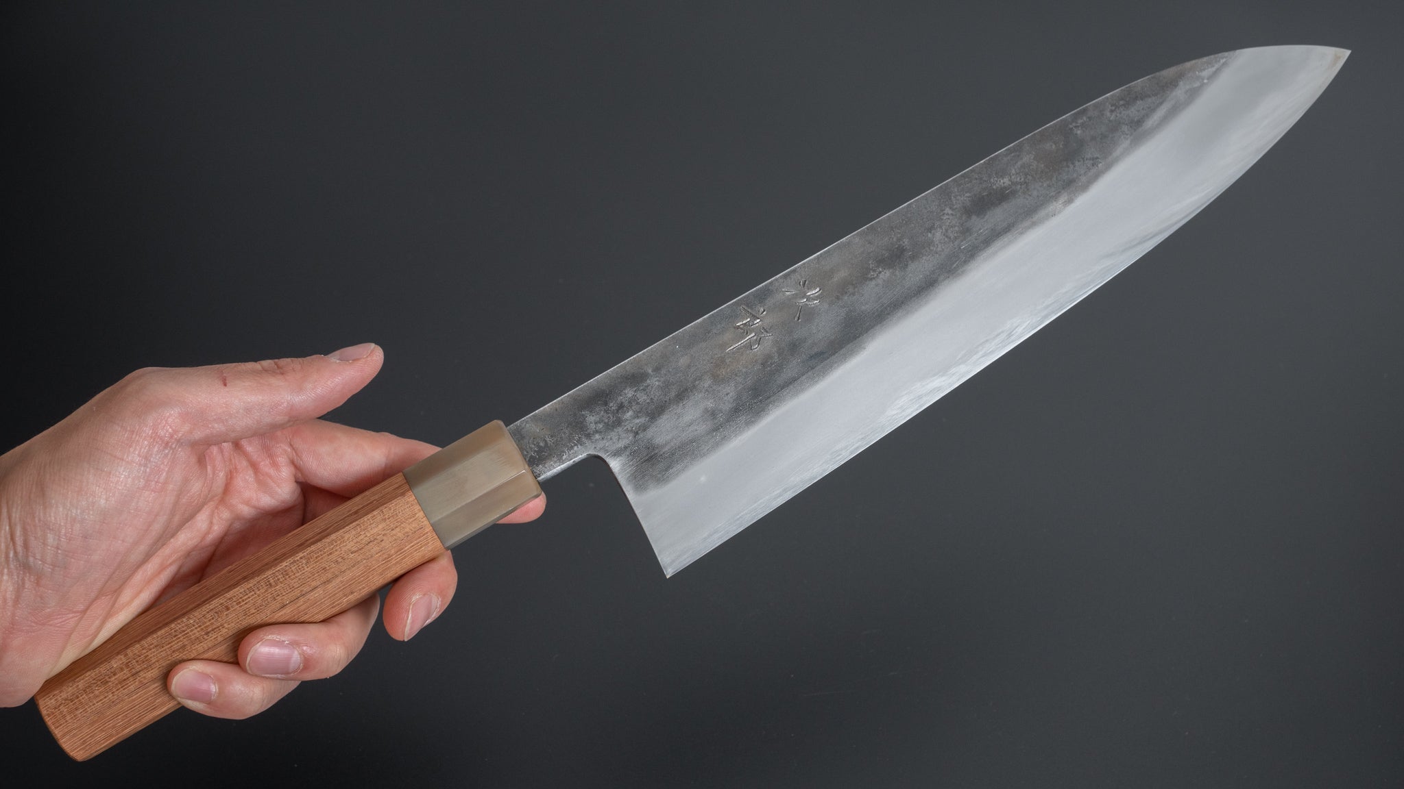 Premium Jiro Tsuchime Wa Gyuto 255mm Japanese Chef Knife with Taihei Tagayasan Handle - Professional Kitchen Tool for Sushi, Meat Cutting & Precision Cooking (#267 Special Offer)