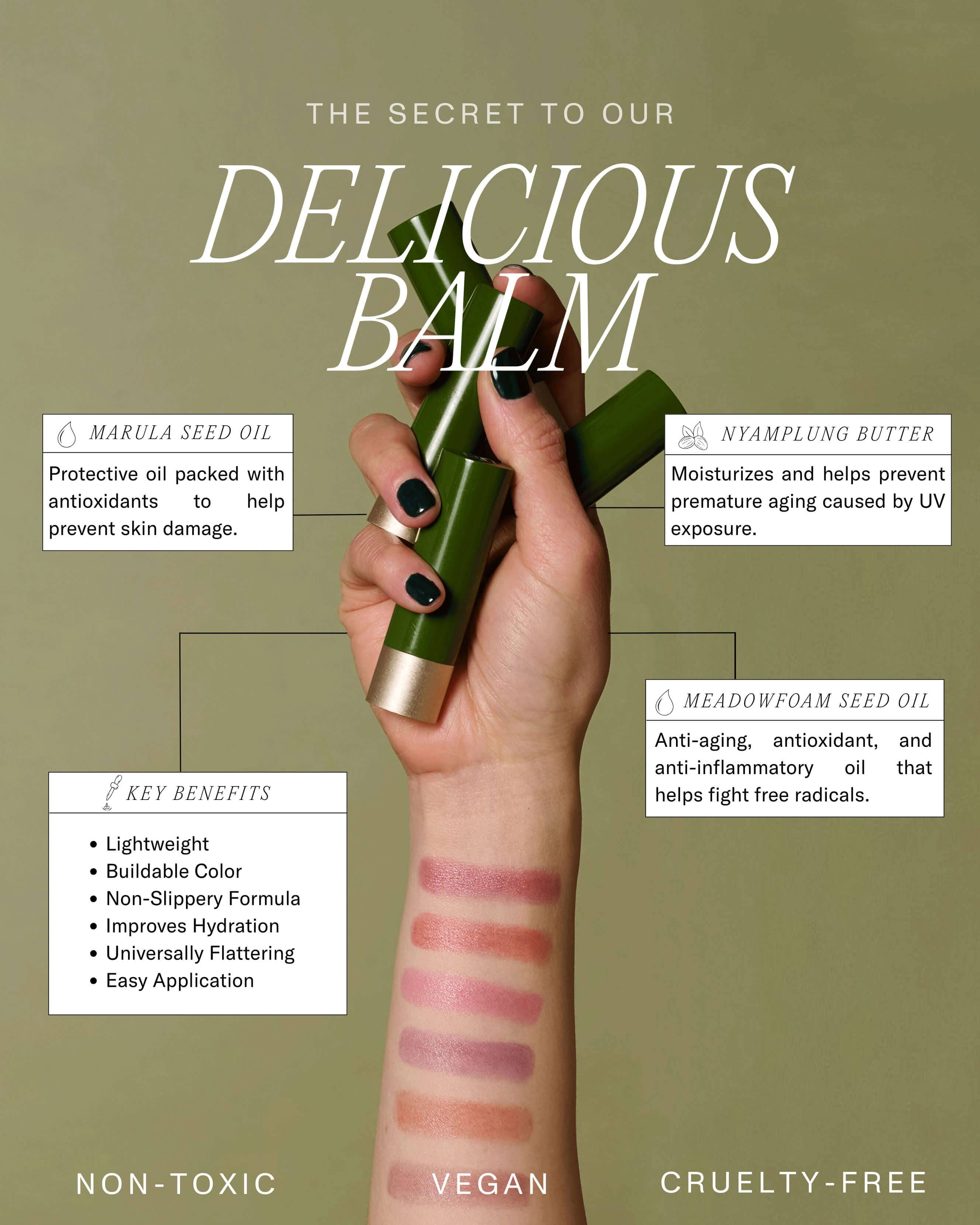 Delicious Balm - Organic Lip Balm for Dry & Chapped Lips | Natural Moisturizing & Healing | Perfect for Winter, Hiking & Outdoor Activities